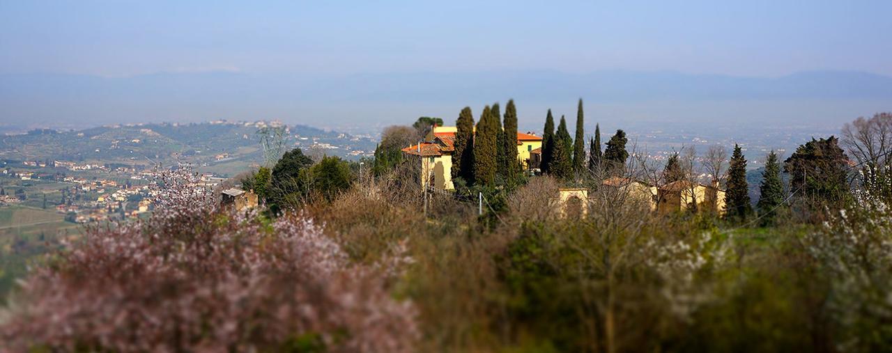 Agriturismo Frigionaia Carmignano Exterior foto